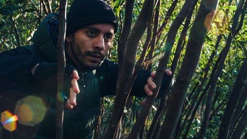 The Intrepid Explorer poster