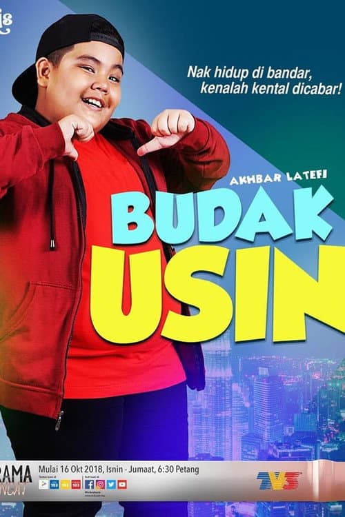 Budak Usin poster
