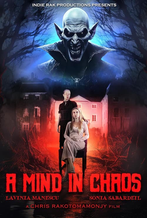 A Mind in Chaos poster