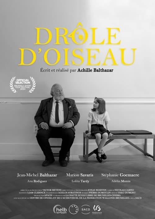 Drôle d'Oiseau poster