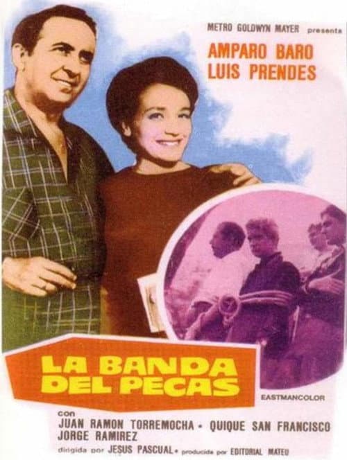 LA BANDA DEL PECAS poster