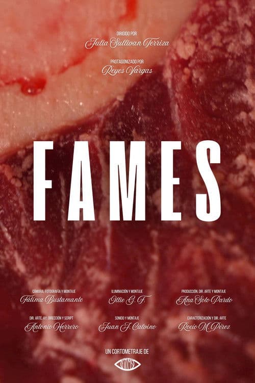 FAMES poster
