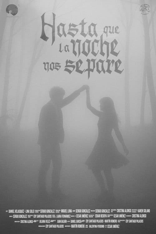 Hasta que la noche nos separe poster