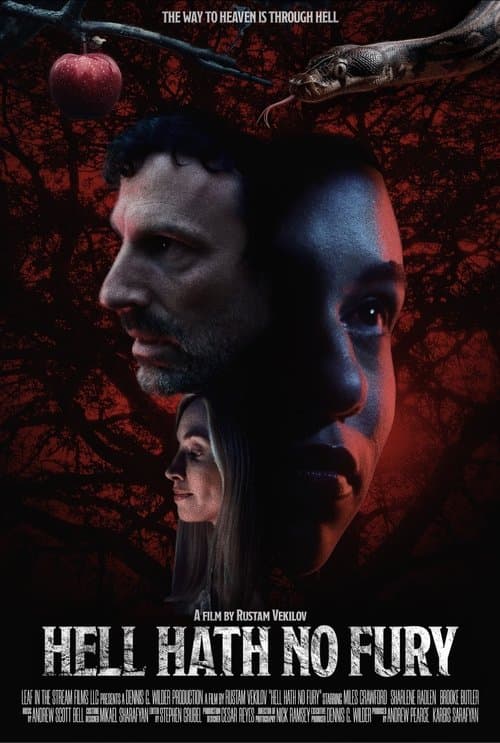 Hell Hath No Fury poster