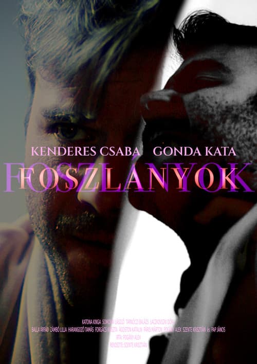 FOSZLÁNYOK poster