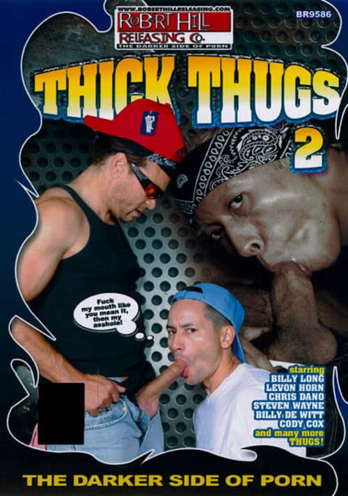 Thick Thugs 2 poster