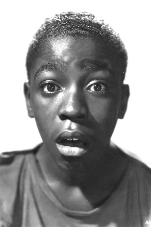 Paul White profile photo