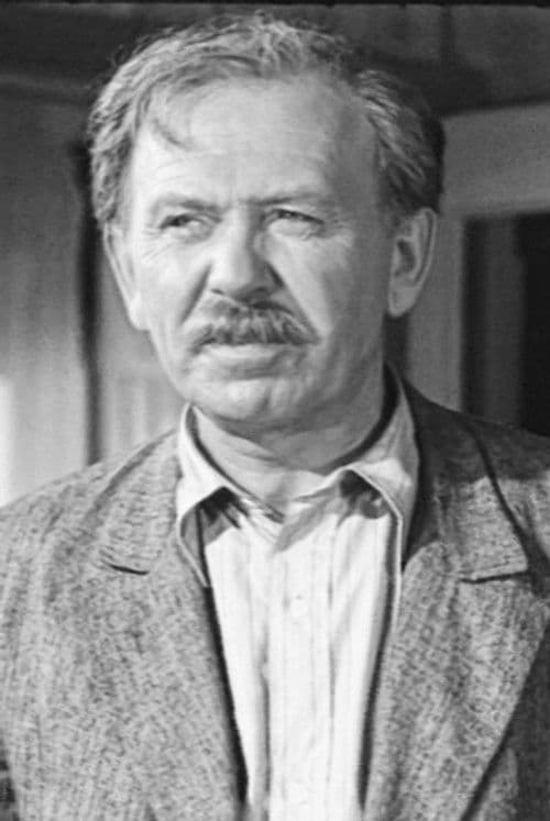 Pavel Volkov profile photo