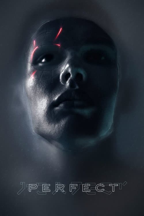 Perfect poster