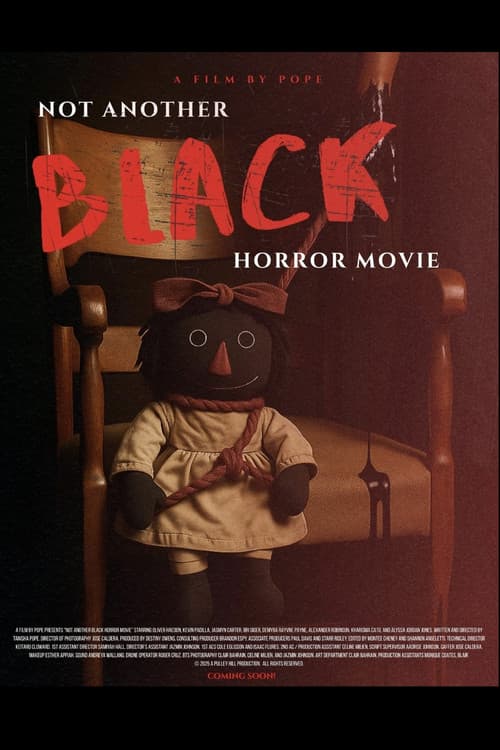 Not Another Black Horror Movie poster