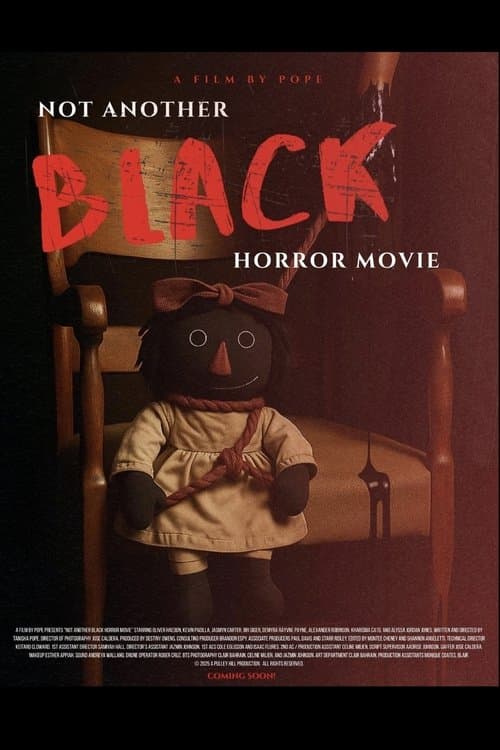 Not Another Black Horror Movie poster