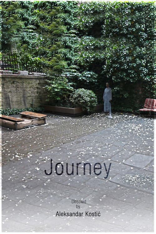 Journey poster