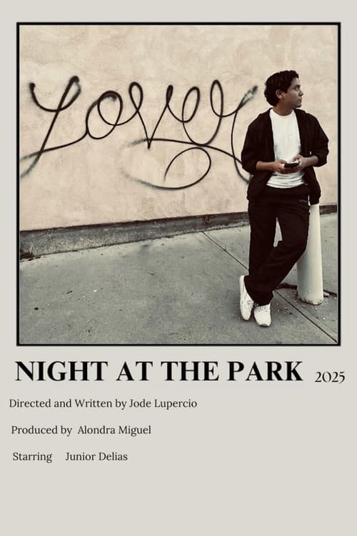 Night at the Park poster