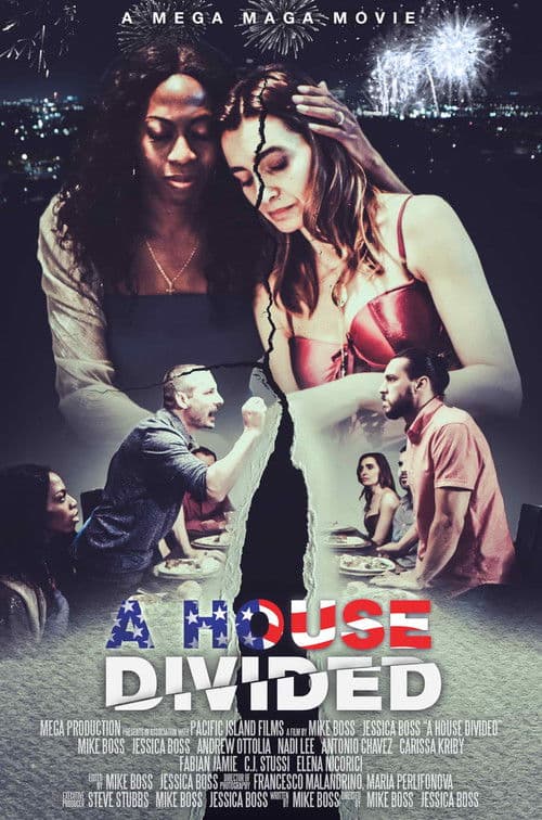 A House Divided poster