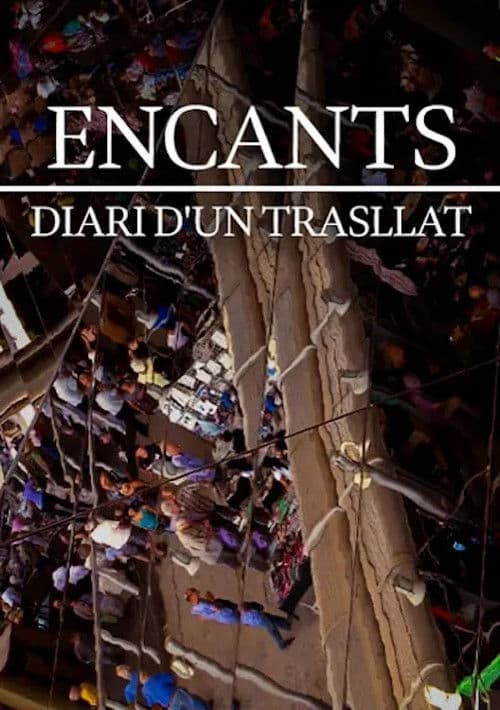 Encants, diari d'un trasllat poster