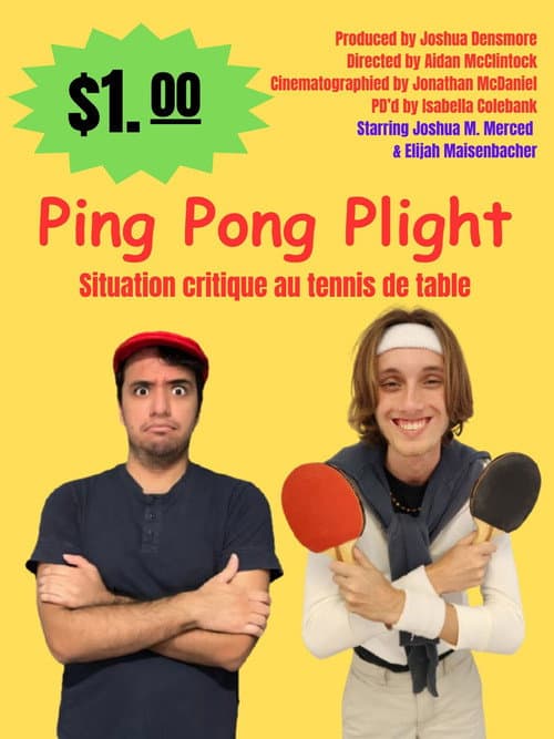 Ping Pong Plight poster