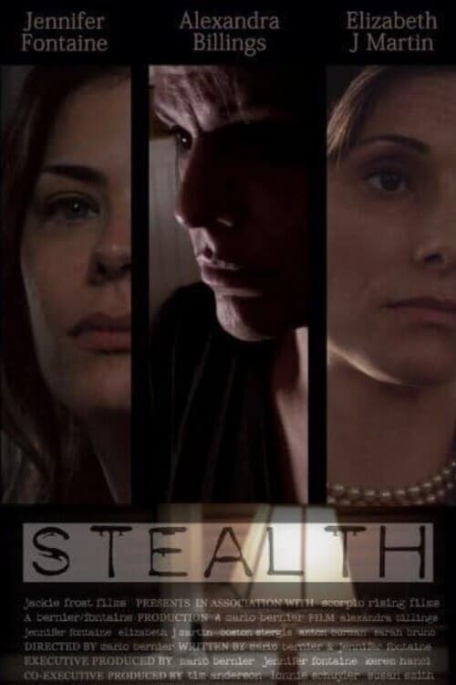 Stealth poster