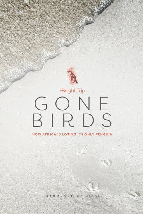 Gone Birds poster