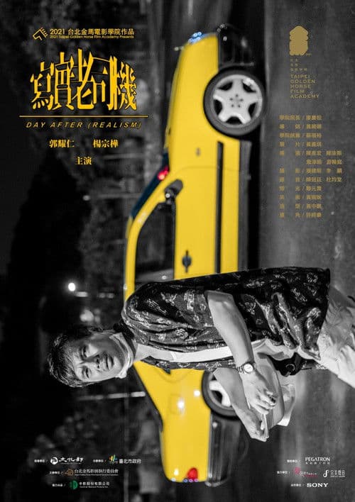 Day After (Realism) poster