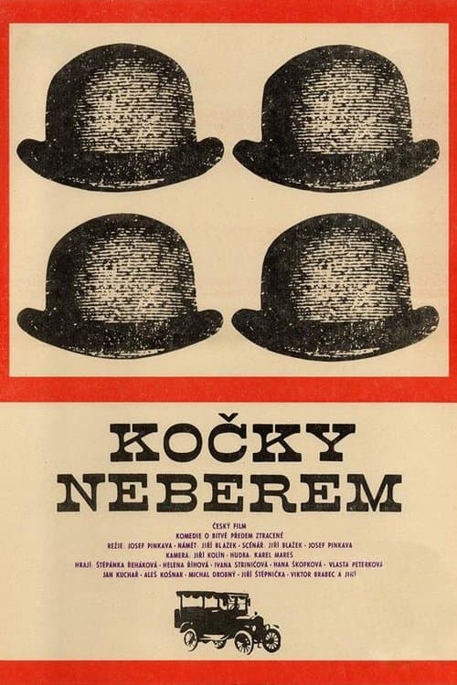 Kočky neberem poster