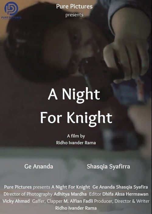 A Night For Knight poster