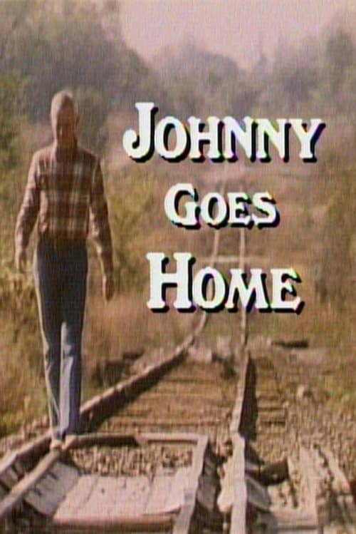 Johnny Goes Home poster