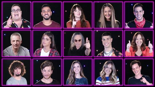 Play פסטיגל poster