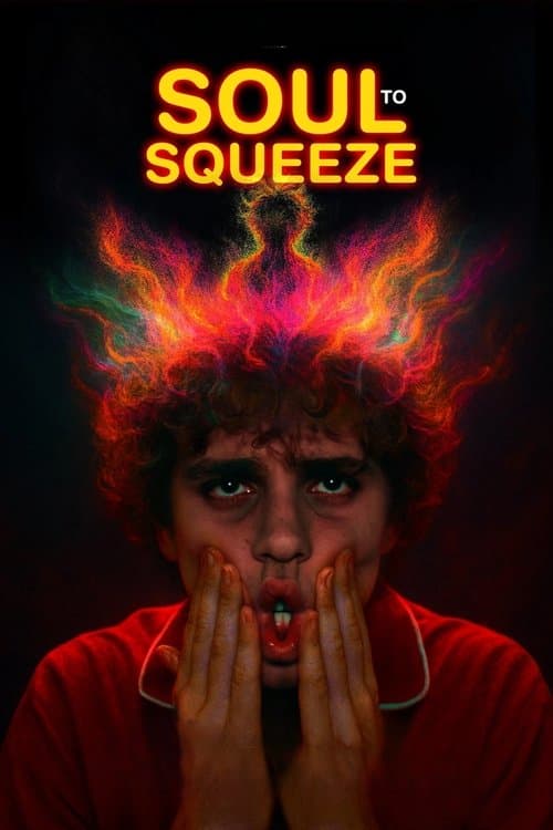Soul to Squeeze poster