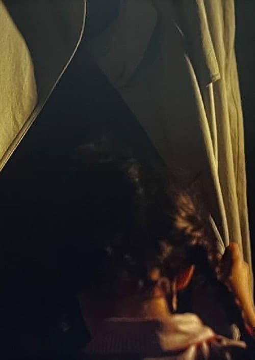 L'Ombra del Sac poster