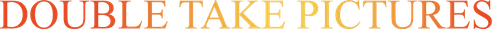 Double Take Pictures