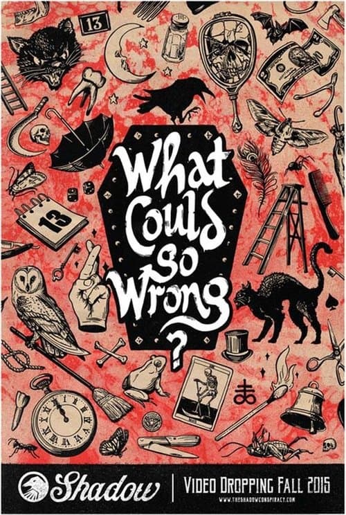 What Could Go Wrong? poster
