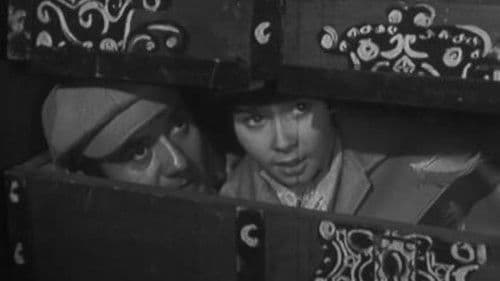 La Malle volante poster