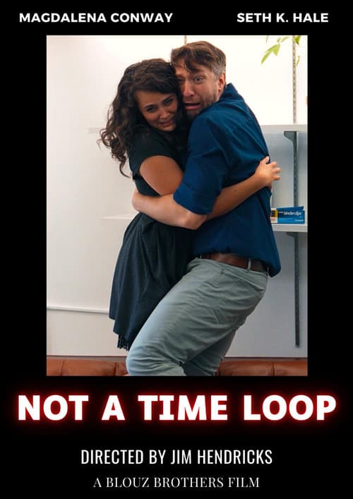Not a Time Loop poster