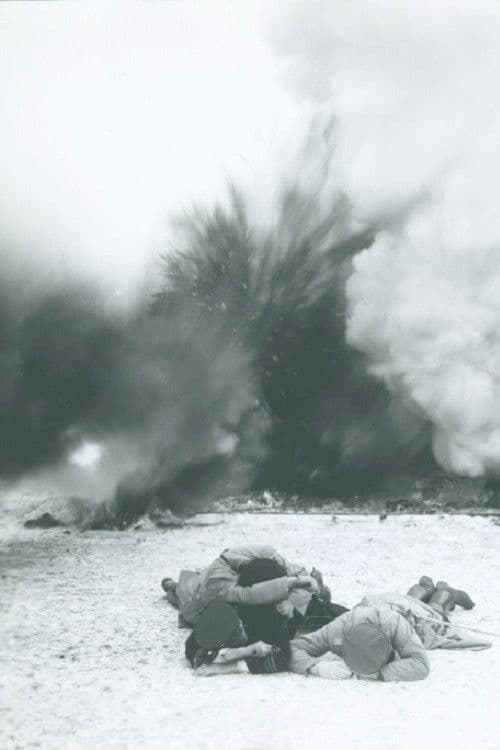 In Defense of the Nation poster