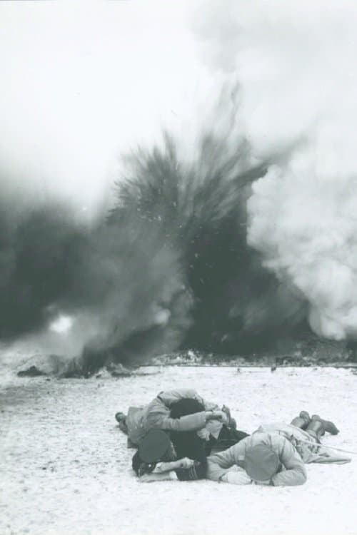 In Defense of the Nation poster