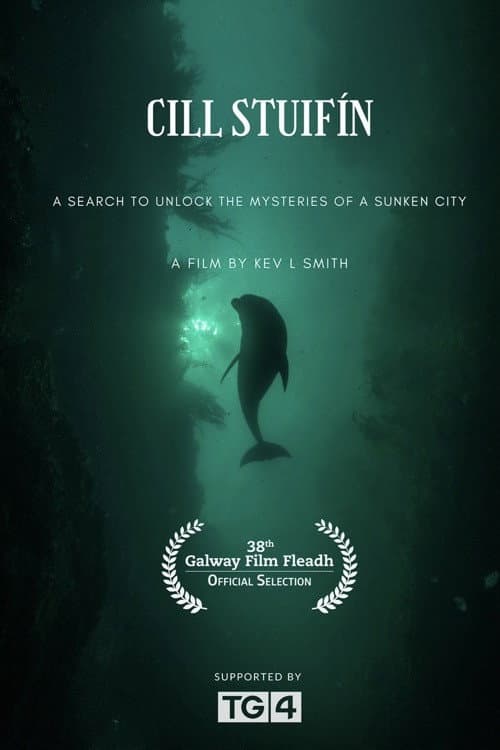 Cill Stuifín poster