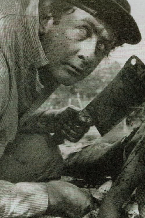 Hal Borske profile photo