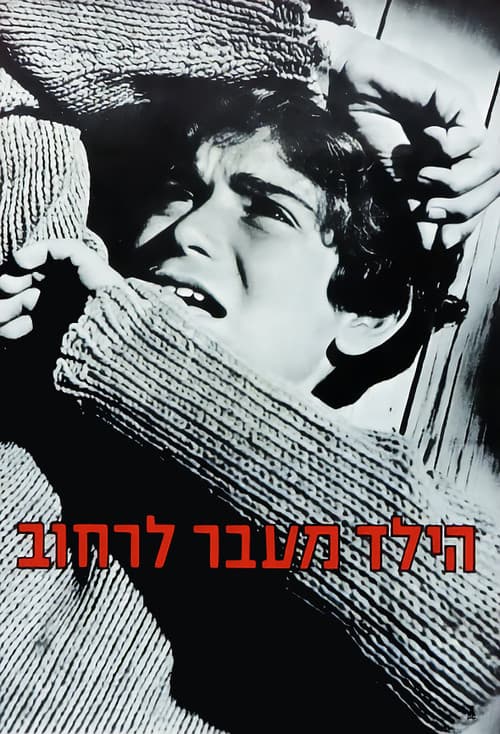 The Boy Across the Street poster