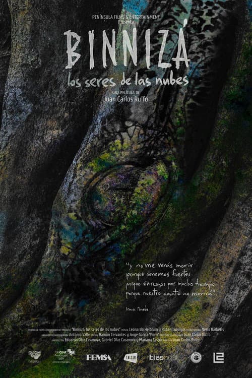 Binnizá, The Beings Of The Clouds poster