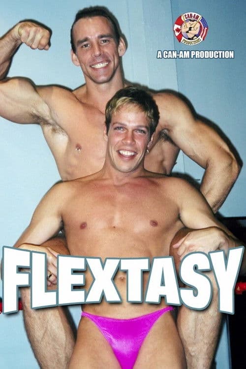 FLEXTASY poster