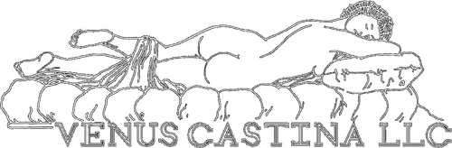 Venus Castina Productions
