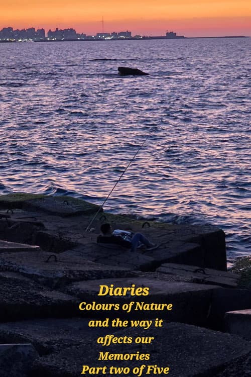 Diaries: Colours of Nature and the Way It Affects Our Memories. poster