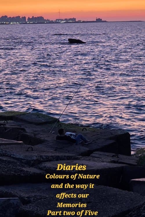 Diaries: Colours of Nature and the Way It Affects Our Memories. poster