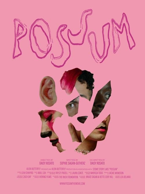 POSSUM poster
