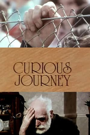 Curious Journey poster