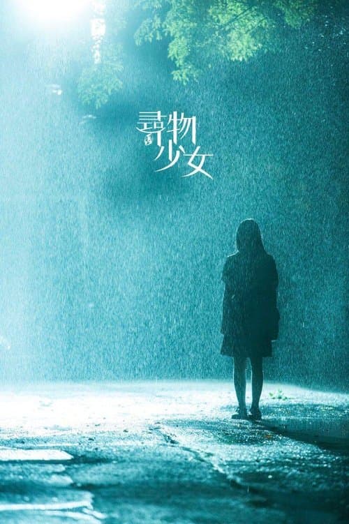 寻物少女 poster