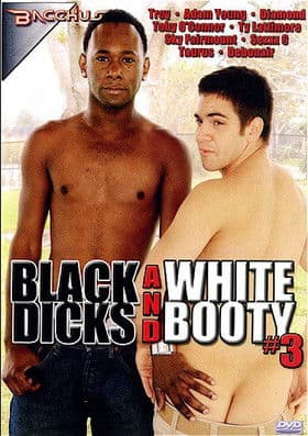 Black Dicks and White Booty 3 poster