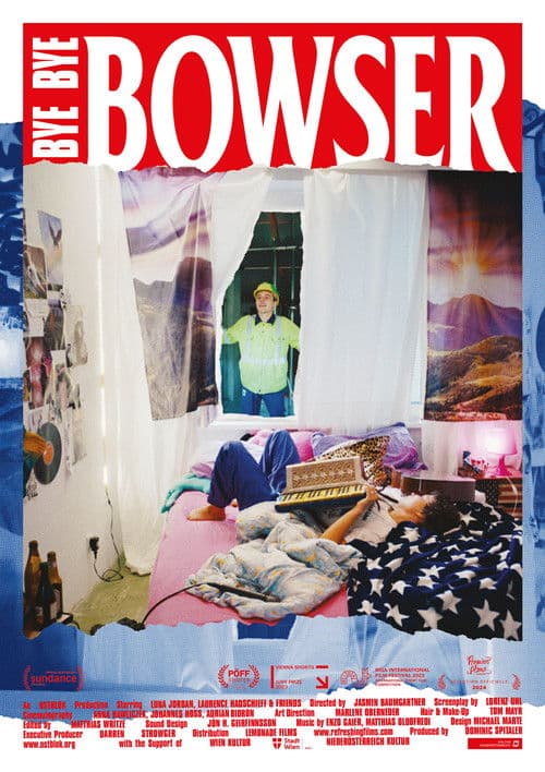 Bye Bye, Bowser poster