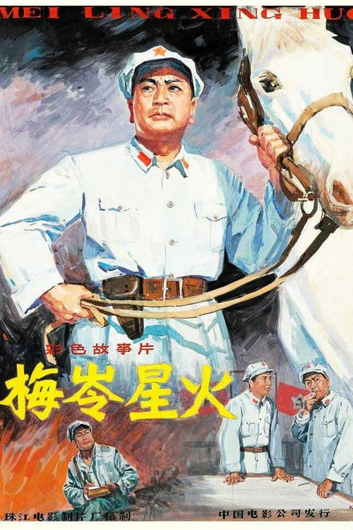 梅岭星火 poster