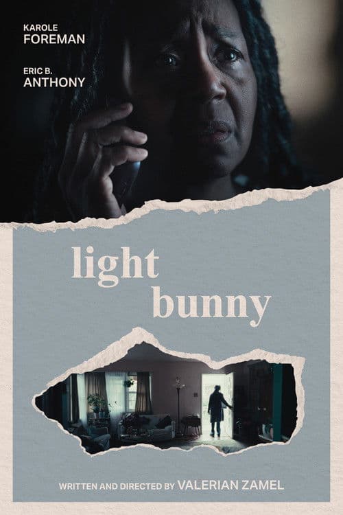 Light Bunny poster